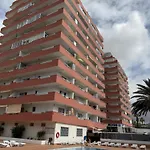 Tajinaste Sara Arona (Tenerife)