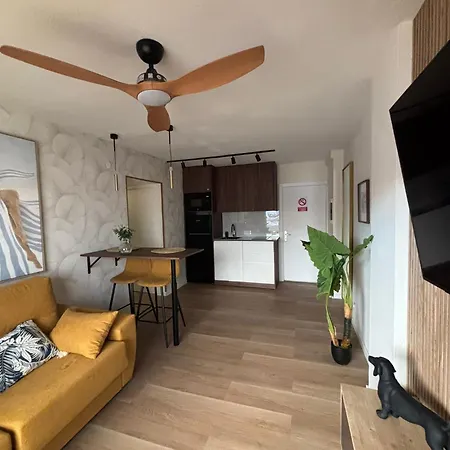 Tajinaste Sara Arona (Tenerife)