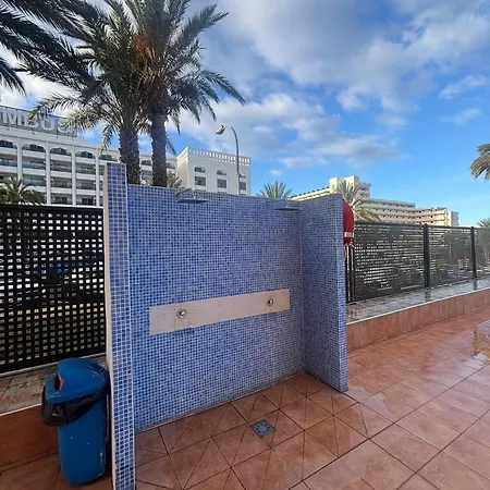 Tajinaste Sara Arona (Tenerife)