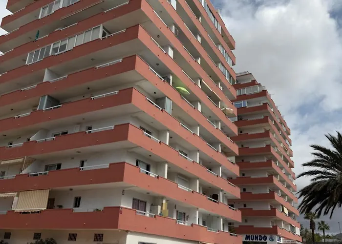 Tajinaste Sara Arona (Tenerife)